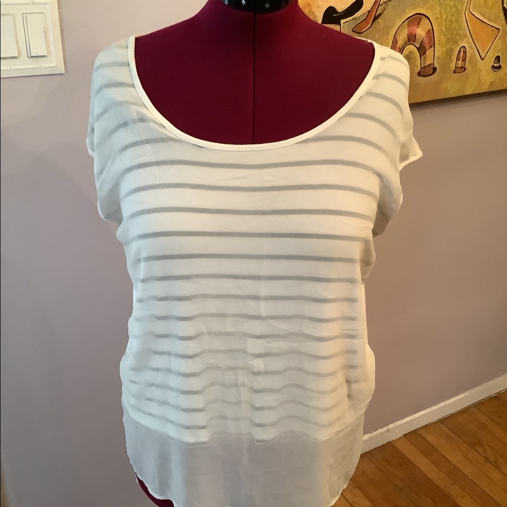 Sheer Over Black and White Striped Blouse